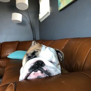 Meet your Posher, Ashlee